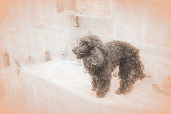 Antigo cão pastor inglês adorável ilustração em aquarela de cachorrinho com  manchas de cor todas as raças de cães