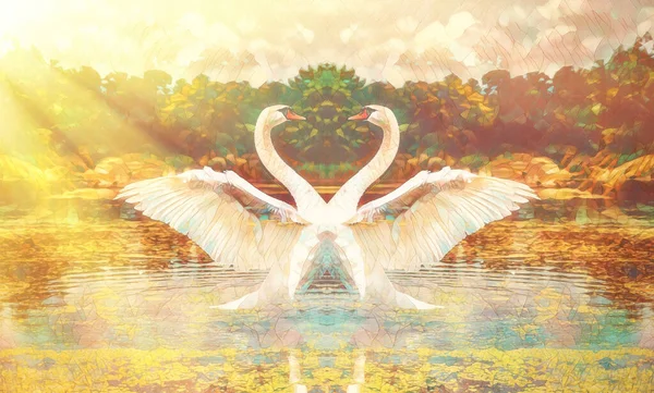 Lake with white swans and mosaic structure. — Stock Photo, Image