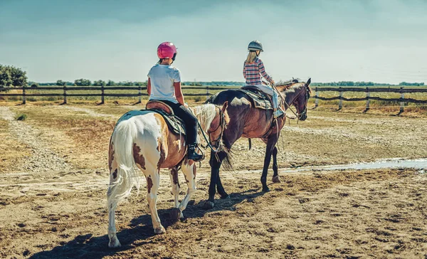 Mädchen trainiert Pferd an einem schönen Sommertag. — Stockfoto