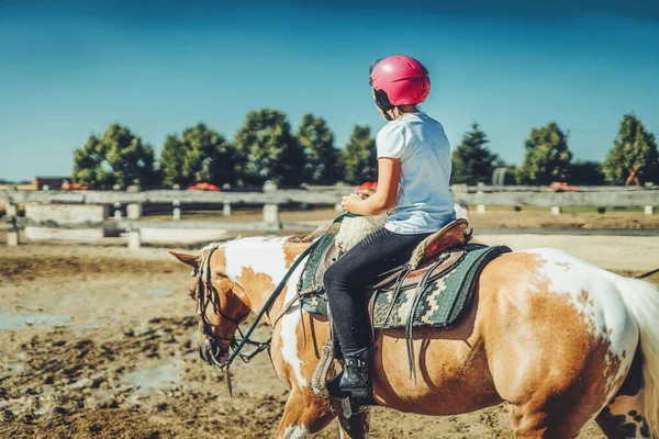 Mädchen trainiert Pferd an einem schönen Sommertag. — Stockfoto