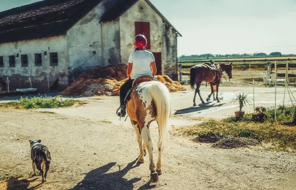 Mädchen trainiert Pferd an einem schönen Sommertag. — Stockfoto