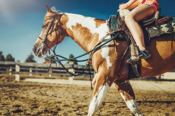소녀들은 아름다운 여름날에 말을 훈련 시킨다. 회화의 효과. — 스톡 사진