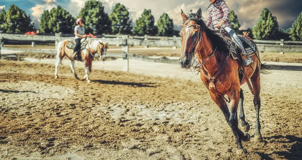 Meisje traint paard op een mooie zomerdag. — Stockfoto