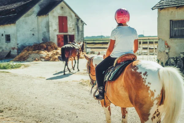 Mädchen trainiert Pferd an einem schönen Sommertag. — Stockfoto