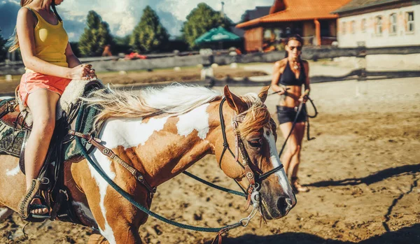 Mädchen trainiert Pferd an einem schönen Sommertag. — Stockfoto