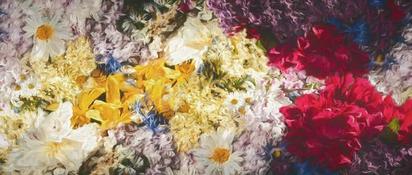 Fundo bonito flor prado e efeito de pintura. — Fotografia de Stock