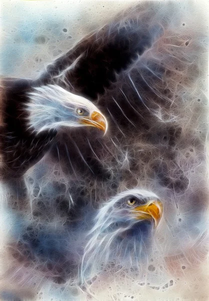 Beautiful painting of two eagles on an abstract background fract — Stock Photo, Image