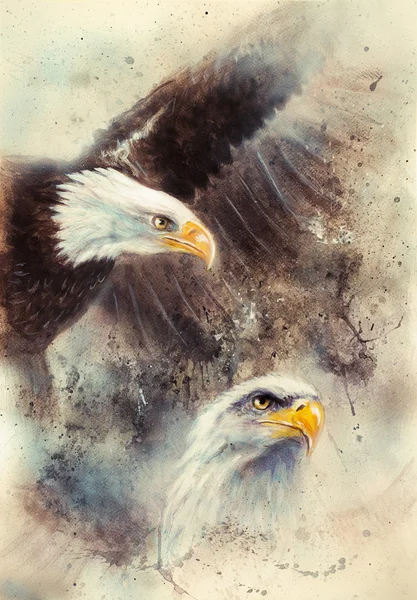 Beautiful painting of two eagles on an abstract background Symbol USA — Stock Photo, Image