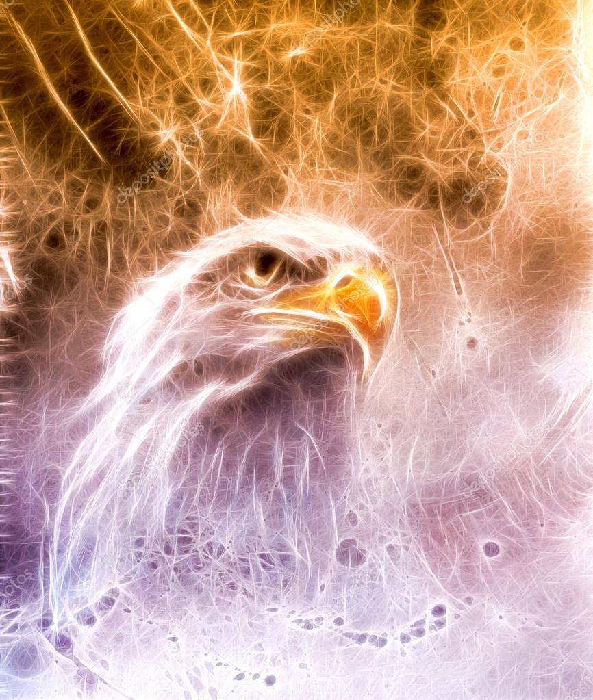 Symbol of American Freedom, wild bald eagle on abstract backgrou