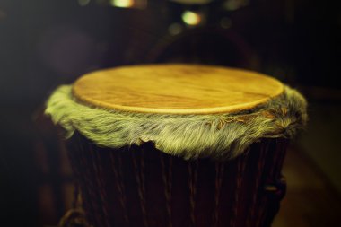 Orijinal Afrika djembe davul ile koyu arka plan güzel tyellow ışık koşullarında güzel saçlı deri lamina
