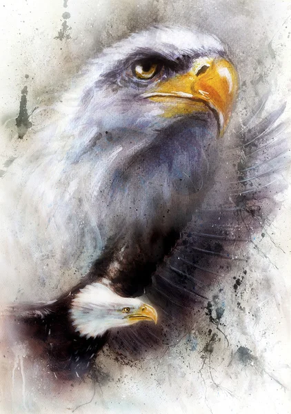 Hermosa pintura de águilas voladoras, sobre un fondo texturizado abstracto —  Fotos de Stock