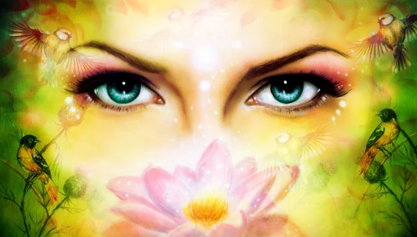 Une paire de beaux yeux de femmes bleues rayonnant vers le haut enchanteur de derrière une fleur de lotus rose en fleurs, avec oiseau sur fond abstrait jaune et vert . — Photo