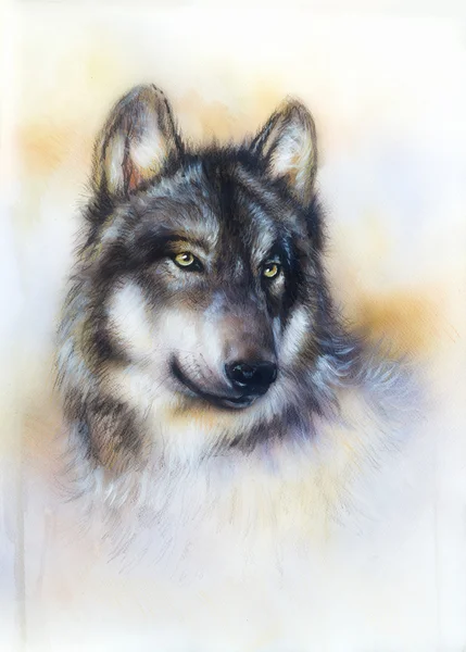 Wolf pintura sobre tela, fundo de cor sobre papel, ilustração multicolor. — Fotografia de Stock