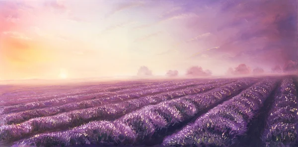 原创油画的薰衣草田在画布上。日落的景观。粉色和紫色晨光，彩色插图. — 图库照片