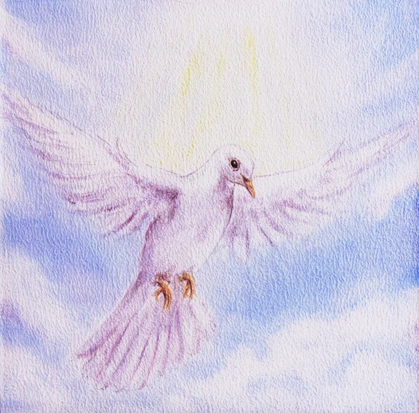 Taubenporträt in Wolken, weißes strahlendes heiliges fliegendes Friedenssymbol, farbenfrohe Malerei — Stockfoto