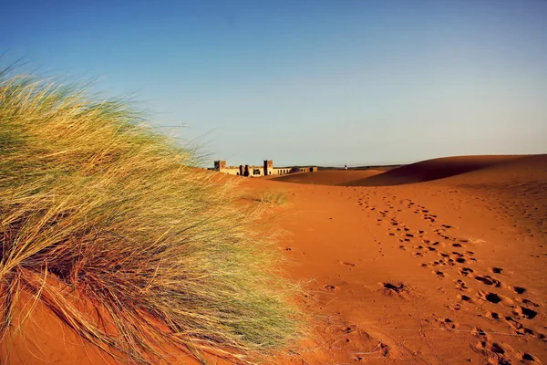 A moroccan desert scenery with sand dunes, desert grass plantation and a ribbon of footsteps leading to an ancient arabic fortress emerging on the backgrounds — Stock Photo, Image