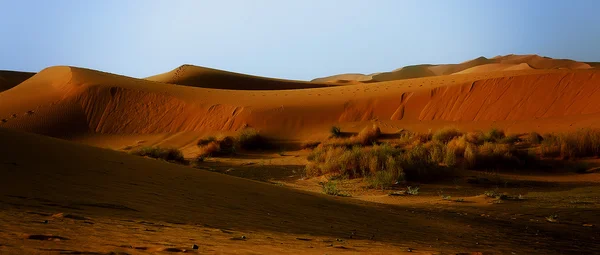 En marockanska öknen landskap med sanddyner och öken gräs plantation, i lekfull ljuset av att solen, kastar skuggor och avslöjar vissa avlägsna fotspår leder till horisonten — Stockfoto