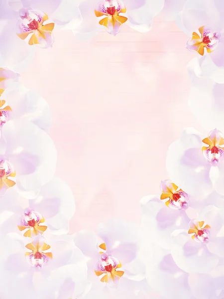 Hermoso anillo decorativo de orquídeas, tono rosa suave con página —  Fotos de Stock