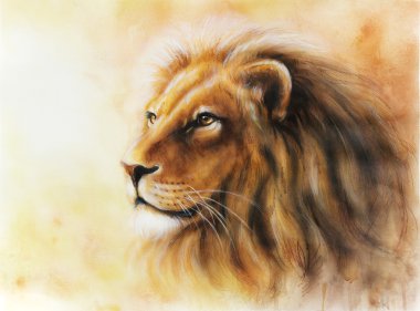 Aslan boyama profil portre renk