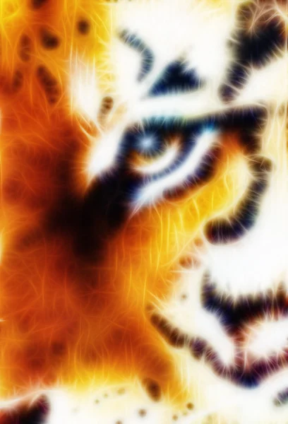 Tiger ornament  fractal background, eye contact — Stock Photo, Image