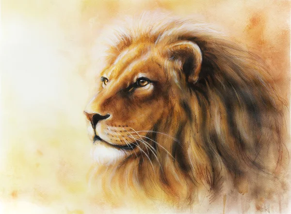 Retrato de perfil de pintura de cor de leão — Fotografia de Stock