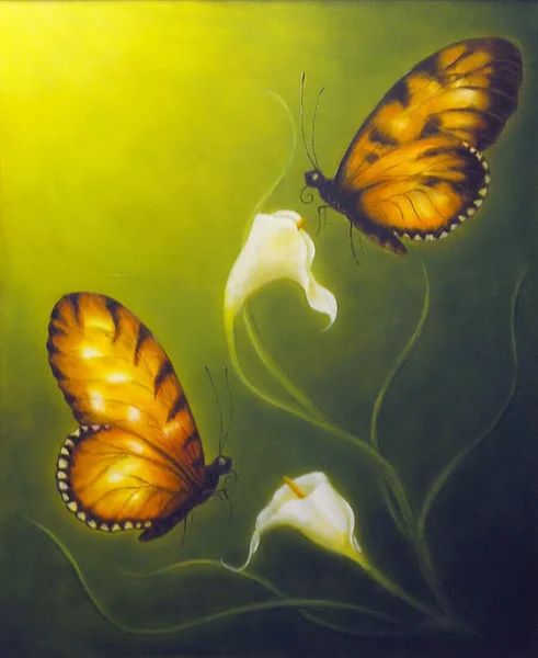 A beautiful oil painting on canvas of a butterfly fying towards a Cala flower — Stock Photo, Image