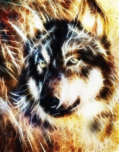 Wolf, meerkleurige collage fractal effect — Stockfoto