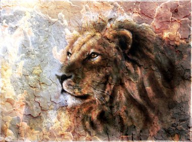 bir majesticaly huzurlu ifade çöl deseni ile aslan baş güzel resim.