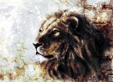 bir aslan başı ve mistik bir majesticaly huzurlu ifade çöl deseni yüzlerle güzel resim