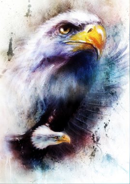 Painting of two eagles  one stretching his black wings to fly, on abstract color background