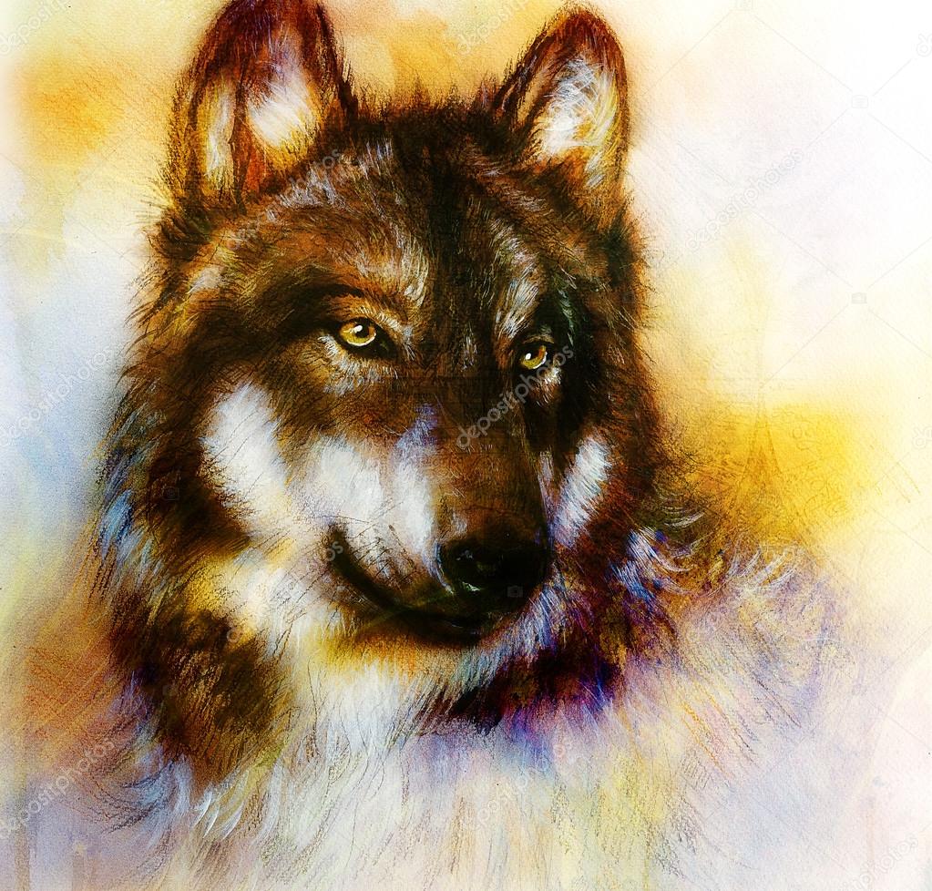 Wolf painting, color  background on paper , multicolor illustration.