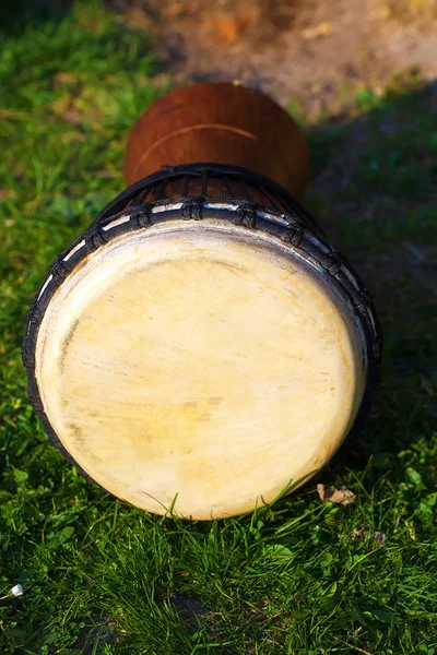 Original african djembe drum with leather lamina, on green in sun light. — Stock Photo, Image