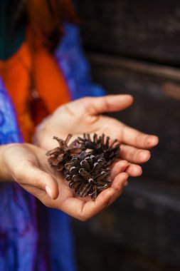 köknar-koni kadın el, ekoloji kavramı