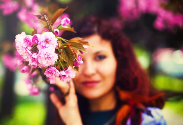 Young woman smelling a beautiful sakura blossom, pink flowers — Stock Photo, Image