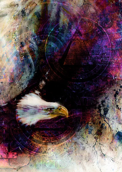 Flying eagle beautiful painting illustration, with one dollar collage. texture background — Stock Photo, Image