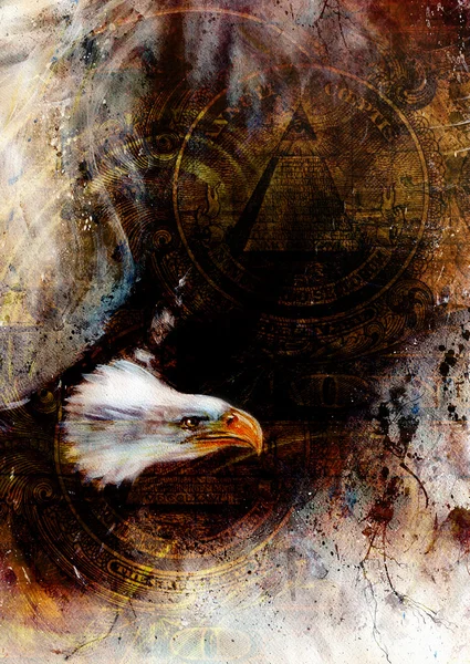 Flying eagle beautiful painting illustration, with one dollar collage. texture background — Stock Photo, Image