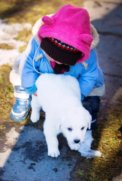 Young girl carries a puppy dog in her arms — Stock Photo, Image
