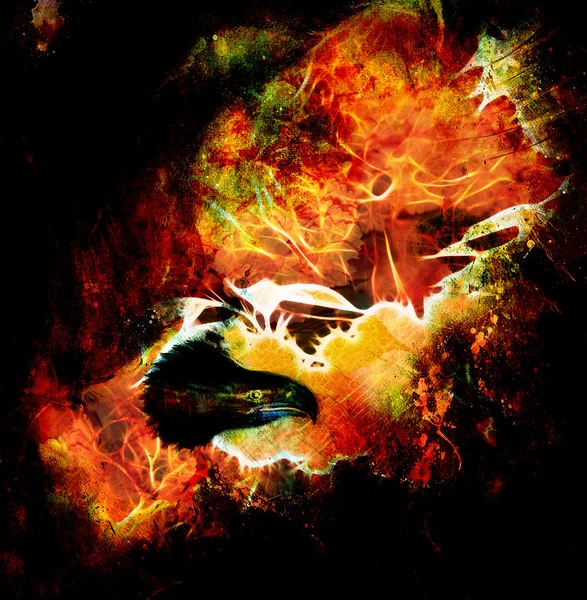 Fenix στη φωτιά σε ένα αφηρημένο φόντο, χρώμα με πλακάτα δομές. — Φωτογραφία Αρχείου