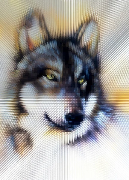 Wolf  illustration. Low poly design. Stock Photo