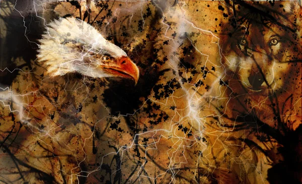 Lobo y águila pintura de color, plumas de fondo, ilustración collage multicolor. Rayo blanco . —  Fotos de Stock