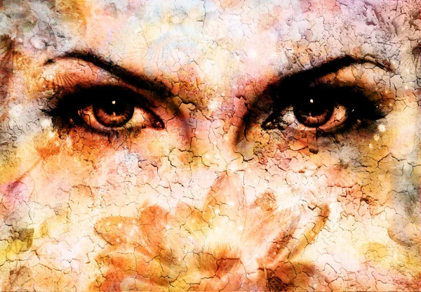 ตาของผู้หญิงส่องประกายเสน่ห์จากด้านหลัง ดอกบัวโรซ่าที่ส่องประกาย ผลกระทบของรอยแตก รูปภาพสต็อก