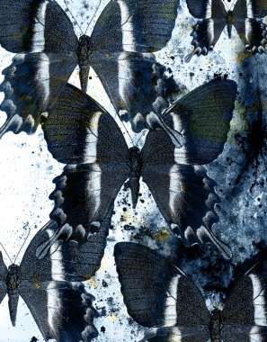 Arka plan mavi kelebek kolaj ile.