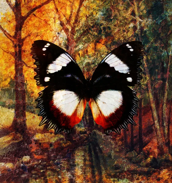 Butterfly and landscape forest  painting and  rust structure — Stock Photo, Image