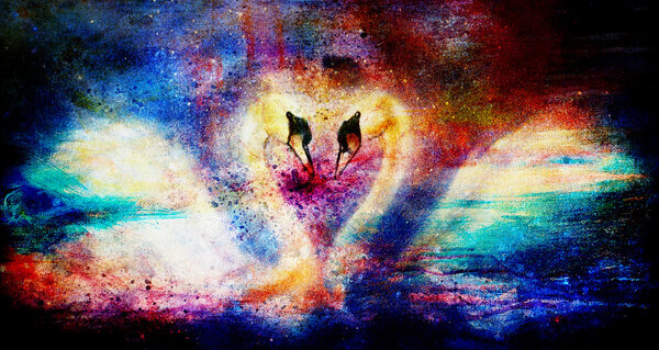Romantic two swans on color abstract structure background