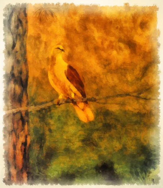 Dove in the forest. painting and postproduction in computer — Stock Photo, Image