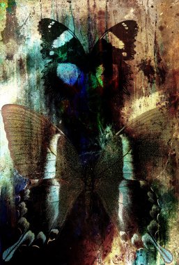 Abstract color Backgrounds with butterfly, painting collage with spots, rust structure and ornaments