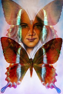 young girl angelic face and a butterfly. Structure and color Collage art