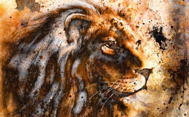 Lion collage on color abstract  background,  rust structure, wildlife animals