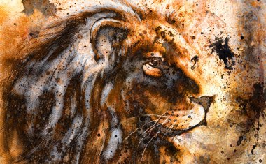 Lion collage on color abstract  background,  rust structure, wildlife animals clipart
