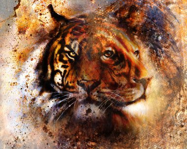 LPortrait lion and Tiger face, profile portrait, on colorful abstract feather pattern background. Abstract color collage with spots.